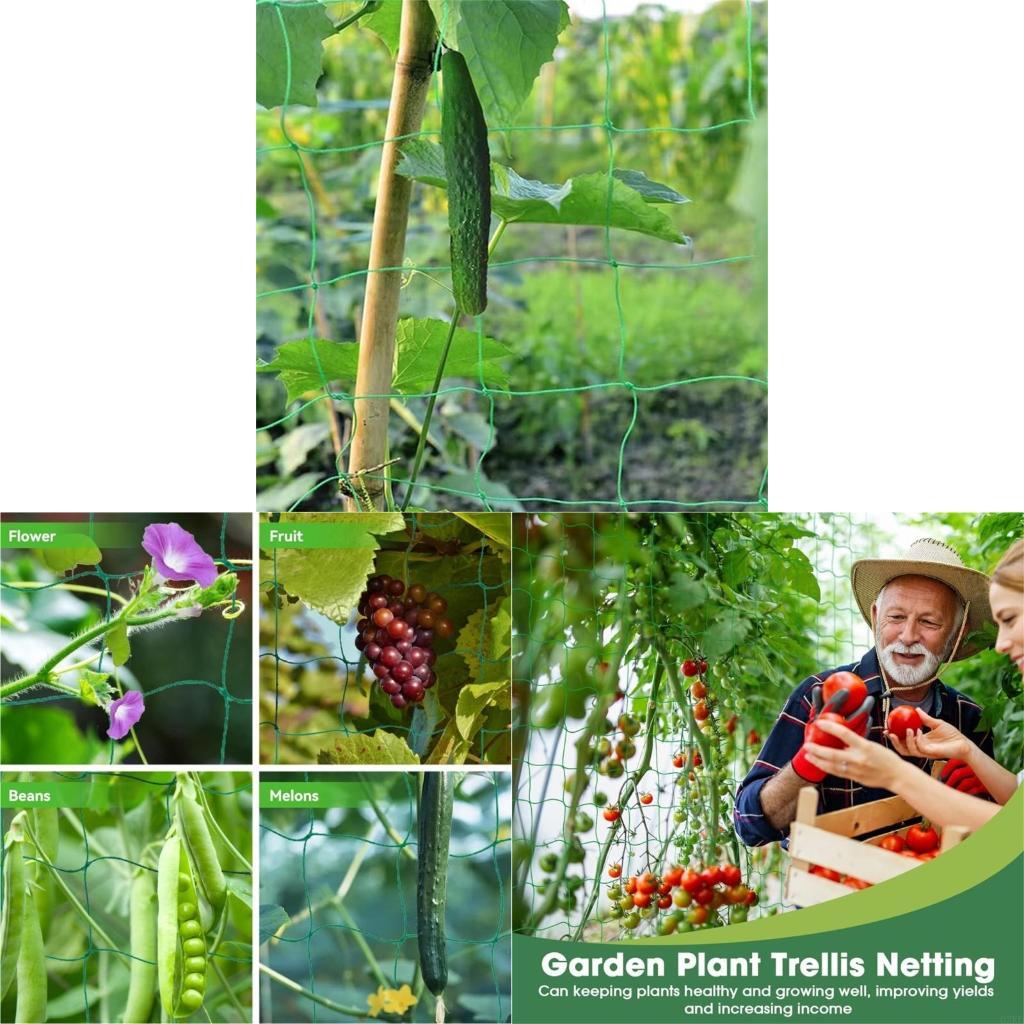 Agriculture Farming Net - Filet en treillis pour plantes grimpantes