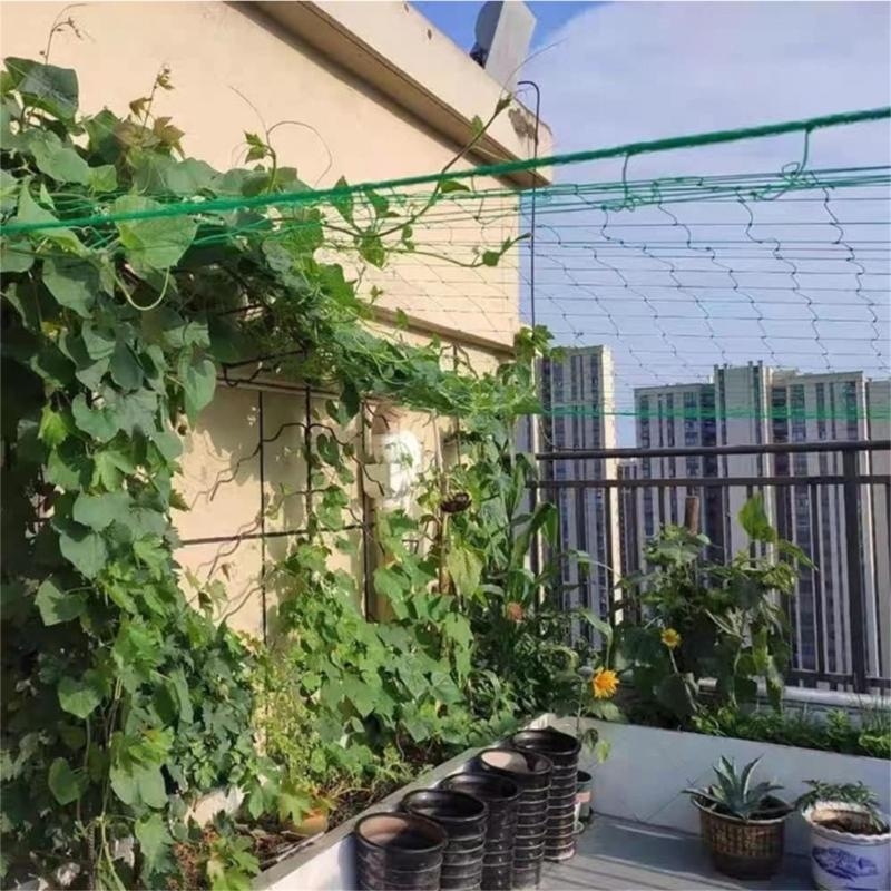 Filet Support plante filet tre - Agriculture Farming Net avis et prix
