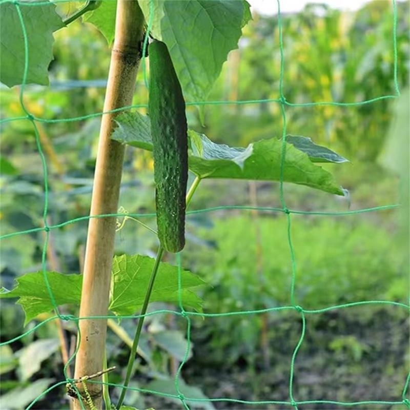 Filet Support plante filet tre - Agriculture Farming Net avis et prix