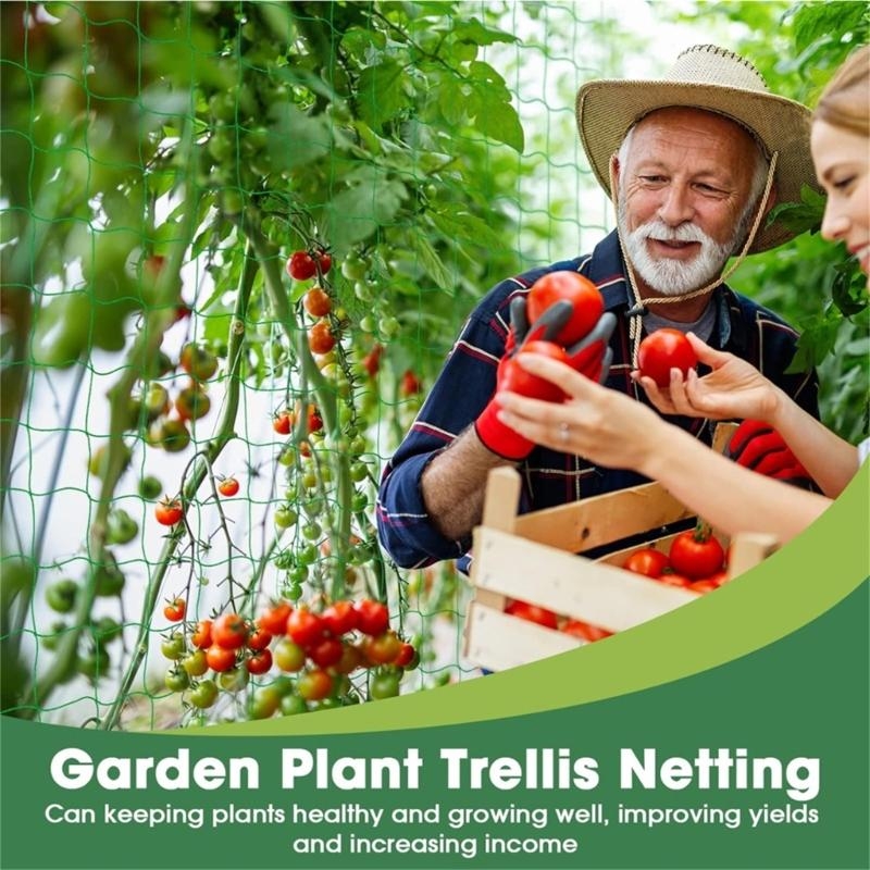 Filet Support plante filet tre - Agriculture Farming Net avis et prix
