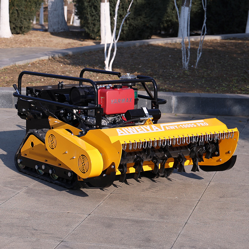 Tondeuse à gazon domestique pe - Agriculture Farming Requirements avis et prix