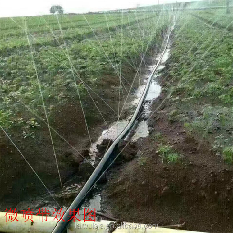 Kit d'irrigation par bande d'é - Irrigation Drip Tape avis et prix